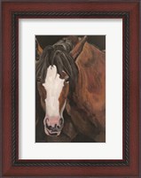 Framed Horse Portrait I