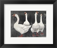 Framed Gaggle of Geese