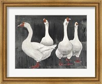 Framed Gaggle of Geese
