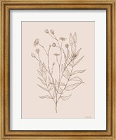 Framed Wildflower Drawing