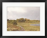 Framed By the Pond