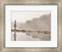 Framed Water Reflection