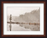 Framed Water Reflection
