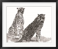 Framed Cheetahs