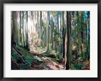 Framed Forest Light