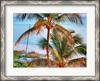 Framed Colors of Florida