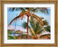 Framed Colors of Florida