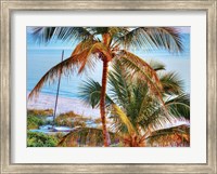 Framed Colors of Florida