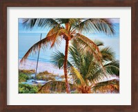 Framed Colors of Florida