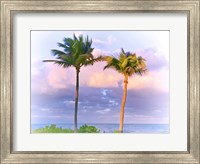 Framed Two Palms