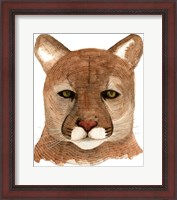 Framed Cougar