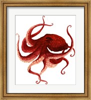 Framed Giant Pacific Octopus - Red