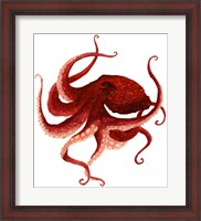 Framed Giant Pacific Octopus - Red