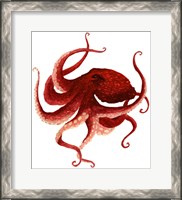 Framed Giant Pacific Octopus - Red