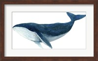 Framed Humpback Whale - Blue