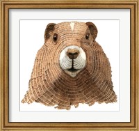 Framed Marmot