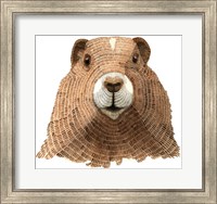 Framed Marmot