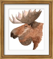 Framed Moose