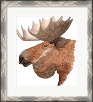 Framed Moose