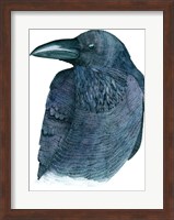 Framed Raven