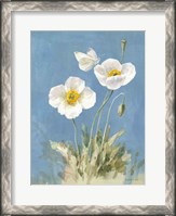 Framed White Poppies I