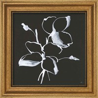 Framed 'Wildflowers IV' border=