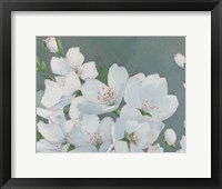 Framed Spring Apple Blossoms