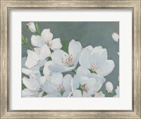 Framed Spring Apple Blossoms