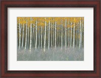 Framed Forest Dusk