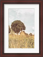 Framed Grass and Sky Light