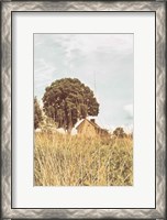 Framed Grass and Sky Light