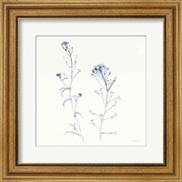 Framed Shepherds Purse Stems II Blue