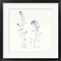 Framed Shepherds Purse Stems II Blue