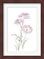 Framed Tall Queen Annes Lace III