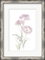 Framed Tall Queen Annes Lace III