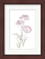 Framed Tall Queen Annes Lace III