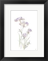Framed Tall Queen Annes Lace II