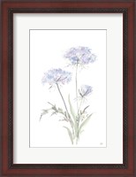 Framed Tall Queen Annes Lace I