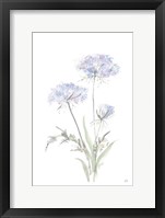 Framed Tall Queen Annes Lace I