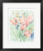 Framed Tulip Spray