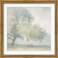 Framed Edge of the Orchard