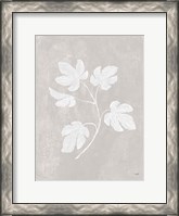 Framed Botanical Study III Neutral Crop