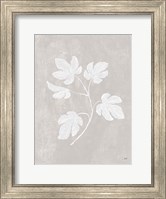 Framed Botanical Study III Neutral Crop