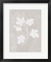 Botanical Study III Neutral Crop Framed Print