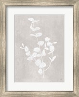 Framed Botanical Study II Neutral Crop