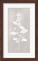 Framed Botanical Study VIII Neutral