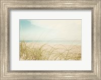 Framed Beach Grass V Light