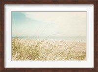 Framed Beach Grass V Light