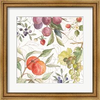 Framed In the Orchard VIII