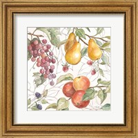 Framed In the Orchard VII